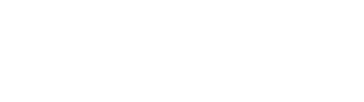 LEAD CAPITAL GROUP